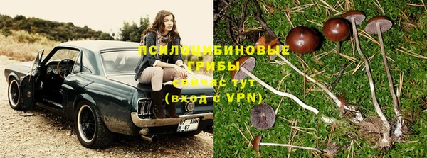 прущая мука Михайловск